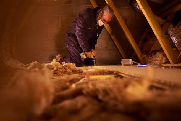 Trusted Forest City, IA Insulation Experts